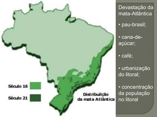 Devastação da
mata-Atlântica

• pau-brasil;

• cana-de-
açúcar;

• café;

• urbanização
do litoral;

• concentração
da população
no litoral
 