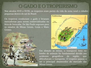 Nos séculos XVII e XVIII, os tropeiros eram partes da vida da zona rural e cidades
pequenas dentro do sul do Brasil.
Os tropeiros conduziam o gado e levaram
mercadorias para serem comercializadas na
feira de Sorocaba. De São Paulo seguiam para
os estados de Minas Gerais, Goiás e Mato
Grosso.
Em direção às minas, o transporte feito no
lombo de animais foi fundamental devido aos
acidentes geográficos da região, que
dificultavam o transporte. O tropeiro passou a
ser o principal abastecedor do mercado das
Minas Gerais.
 