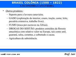Outros produtos: Suporte para a lavoura canavieira. GADO (exploração do interior, couro, tração, carne, leite, pecuária extensiva, trabalho livre). FUMO (troca por escravos na África). DROGAS DO SERTÃO: produtos extraídos da floresta amazônica com relativo valor na Europa, tais como anil, guaraná, salsa, corantes, e sobretudo o cacau. Agricultura de subsistência. 