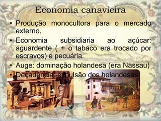 Economia canavieira
• Produção monocultora para o mercado
  externo.
• Economia     subsidiaria  ao     açúcar:
  aguardente ( + o tabaco era trocado por
  escravos) e pecuária.
• Auge: dominação holandesa (era Nassau)
• Decadência: expulsão dos holandeses
 