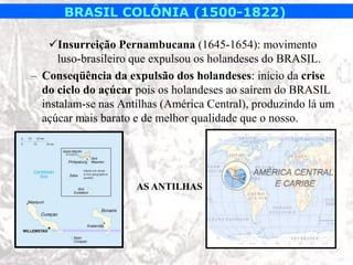 BRASIL COLÔNIA (1500-1822)

    Insurreição Pernambucana (1645-1654): movimento
      luso-brasileiro que expulsou os holandeses do BRASIL.
– Conseqüência da expulsão dos holandeses: início da crise
  do ciclo do açúcar pois os holandeses ao saírem do BRASIL
  instalam-se nas Antilhas (América Central), produzindo lá um
  açúcar mais barato e de melhor qualidade que o nosso.




                     AS ANTILHAS
 