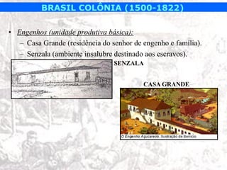 BRASIL COLÔNIA (1500-1822)

• Engenhos (unidade produtiva básica):
   – Casa Grande (residência do senhor de engenho e família).
   – Senzala (ambiente insalubre destinado aos escravos).
                                 SENZALA


                                          CASA GRANDE
 