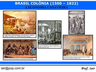 BRASIL COLÔNIA (1500 – 1822)
                  A ECONOMIA CANAVIEIRA




iair@pop.com.br                           Prof. Iair
 