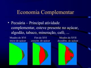 Economia Complementar
• Pecuária – Principal atividade
  complementar, esteve presente no açúcar,
  algodão, tabaco, mineração, café, ...
 Meados do XVI         Fim do XVI         Meados do XVII
 início do açúcar   crescim. do açúcar   decadênc. do açúcar
 