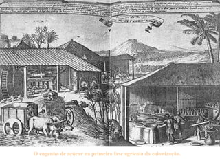 O engenho de açúcar na primeira fase agrícola da colonização. 