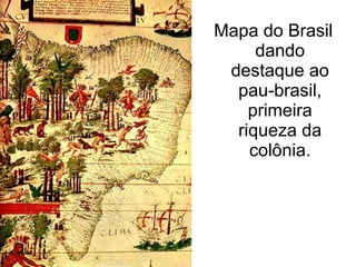 Mapa do Brasil dando destaque ao pau-brasil, primeira riqueza da colônia. 