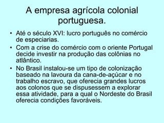 A empresa agrícola colonial portuguesa. Até o século XVI: lucro português no comércio de especiarias. Com a crise do comércio com o oriente Portugal decide investir na produção das colônias no atlântico. No Brasil instalou-se um tipo de colonização baseado na lavoura da cana-de-açúcar e no trabalho escravo, que oferecia grandes lucros aos colonos que se dispusessem a explorar essa atividade, para a qual o Nordeste do Brasil oferecia condições favoráveis.  