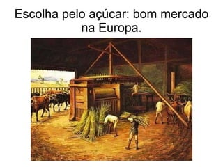 Escolha pelo açúcar: bom mercado na Europa. 