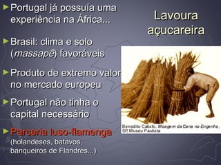 LavouraLavoura
açucareiraaçucareira
►Portugal já possuía umaPortugal já possuía uma
experiência na África...experiência na África...
►Brasil: clima e soloBrasil: clima e solo
((massapêmassapê) favoráveis) favoráveis
►Produto de extremo valorProduto de extremo valor
no mercado europeuno mercado europeu
►Portugal não tinha oPortugal não tinha o
capital necessáriocapital necessário
►Parceria luso-flamengaParceria luso-flamenga
(holandeses, batavos,(holandeses, batavos,
banqueiros de Flandres...)banqueiros de Flandres...)
 