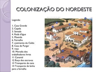 COLONIZAÇÃO DO NORDESTE
Legenda:

1. Casa Grande
2. Capela
3. Senzala
4. Roda d'água
5. Moenda
6. Fornalha
7. cozimento do Caldo
8. Casa de Purgar
9. roça
10. Moradia dos
trabalhadores livres
11 Canavial
12 Roça dos escravos
13 Transporte de cana
14 Transporte de lenha
para a fornalha
 