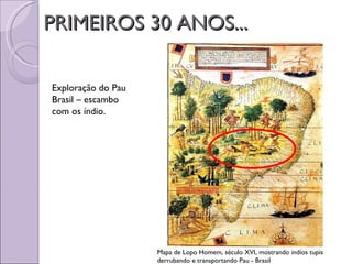 PRIMEIROS 30 ANOS...

Exploração do Pau
Brasil – escambo
com os índio.




                    Mapa de Lopo Homem, século XVI, mostrando indíos tupis
                    derrubando e transportando Pau - Brasil
 