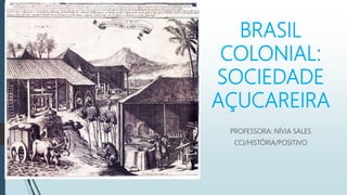 BRASIL
COLONIAL:
SOCIEDADE
AÇUCAREIRA
PROFESSORA: NÍVIA SALES
CCI/HISTÓRIA/POSITIVO
 