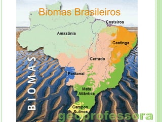 Biomas Brasileiros

 