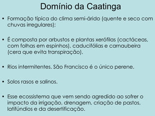 Domínio da CaatingaFormação típica do clima semi-árido (quente e seco com chuvas irregulares);É composta por arbustos e plantas xerófilas (cactáceas, com folhas em espinhos), caducifólias e carnaubeira (cera que evita transpiração).Rios intermitentes. São Francisco é o único perene.Solos rasos e salinos.Esse ecossistema que vem sendo agredido ao sofrer o impacto da irrigação, drenagem, criação de pastos, latifúndios e da desertificação.