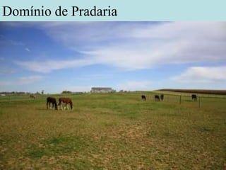 Domínio de Pradaria