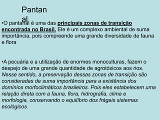 Pantanal O pantanal é uma das principais zonas de transição encontrada no Brasil. Ele é um complexo ambiental de suma importância, pois compreende uma grande diversidade de fauna e flora