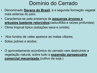Domínio do Cerrado
• Denominado Savana do Brasil, é a segunda formação vegetal
mais extensa do país.
• Caracteriza-se pela presença de pequenas árvores e
arbustos bastante retorcidos(caducifólia e raízes profundas)
• Clima tropical típico (estações seca e úmida);
• Nos fundos de vales aparece as matas ciliares;
• Solos pobres e ácidos.
• O aproveitamento econômico do cerrado vem destruindo a
vegetação natural, sobre tudo a expansão agropecuária
comercial mecanizada (cultivo da soja.)
 