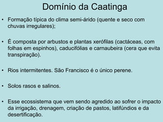 Domínio da Caatinga
• Formação típica do clima semi-árido (quente e seco com
chuvas irregulares);
• É composta por arbustos e plantas xerófilas (cactáceas, com
folhas em espinhos), caducifólias e carnaubeira (cera que evita
transpiração).
• Rios intermitentes. São Francisco é o único perene.
• Solos rasos e salinos.
• Esse ecossistema que vem sendo agredido ao sofrer o impacto
da irrigação, drenagem, criação de pastos, latifúndios e da
desertificação.
 