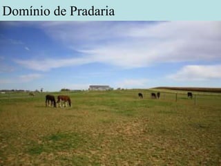Domínio de Pradaria
 