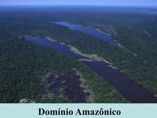 Domínio Amazônico
 