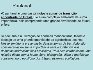 •O pantanal é uma das principais zonas de transição
encontrada no Brasil. Ele é um complexo ambiental de suma
importância, pois compreende uma grande diversidade de fauna
e flora
•A pecuária e a utilização de enormes monoculturas, fazem o
despejo de uma grande quantidade de agrotóxicos aos rios.
Nesse sentido, a preservação dessas zonas de transição são
consideradas de suma importância para a existência dos
domínios morfoclimáticos brasileiros. Pois eles estabelecem uma
relação direta com a fauna, flora, hidrografia, clima e morfologia,
conservando o equilíbrio dos frágeis sistemas ecológicos.
Pantanal
 