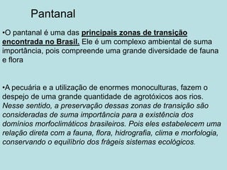Pantanal
•O pantanal é uma das principais zonas de transição
encontrada no Brasil. Ele é um complexo ambiental de suma
importância, pois compreende uma grande diversidade de fauna
e flora


•A pecuária e a utilização de enormes monoculturas, fazem o
despejo de uma grande quantidade de agrotóxicos aos rios.
Nesse sentido, a preservação dessas zonas de transição são
consideradas de suma importância para a existência dos
domínios morfoclimáticos brasileiros. Pois eles estabelecem uma
relação direta com a fauna, flora, hidrografia, clima e morfologia,
conservando o equilíbrio dos frágeis sistemas ecológicos.
 