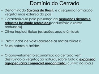 Domínio do Cerrado
• Denominado Savana do Brasil, é a segunda formação
vegetal mais extensa do país.
• Caracteriza-se pela presença de pequenas árvores e
arbustos bastante retorcidos(caducifólia e raízes
profundas)
• Clima tropical típico (estações seca e úmida);
• Nos fundos de vales aparece as matas ciliares;
• Solos pobres e ácidos.
• O aproveitamento econômico do cerrado vem
destruindo a vegetação natural, sobre tudo a expansão
agropecuária comercial mecanizada (cultivo da soja.)
 