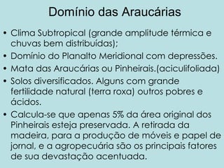 Domínio das Araucárias
• Clima Subtropical (grande amplitude térmica e
chuvas bem distribuídas);
• Domínio do Planalto Meridional com depressões.
• Mata das Araucárias ou Pinheirais.(aciculifoliada)
• Solos diversificados. Alguns com grande
fertilidade natural (terra roxa) outros pobres e
ácidos.
• Calcula-se que apenas 5% da área original dos
Pinheirais esteja preservada. A retirada da
madeira, para a produção de móveis e papel de
jornal, e a agropecuária são os principais fatores
de sua devastação acentuada.
 