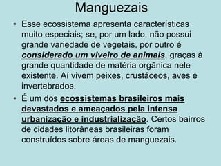 Manguezais
• Esse ecossistema apresenta características
muito especiais; se, por um lado, não possui
grande variedade de vegetais, por outro é
considerado um viveiro de animais, graças à
grande quantidade de matéria orgânica nele
existente. Aí vivem peixes, crustáceos, aves e
invertebrados.
• É um dos ecossistemas brasileiros mais
devastados e ameaçados pela intensa
urbanização e industrialização. Certos bairros
de cidades litorâneas brasileiras foram
construídos sobre áreas de manguezais.
 