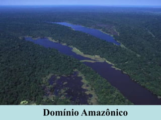 Domínio Amazônico
 