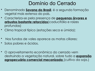 Domínio do Cerrado
• Denominado Savana do Brasil, é a segunda formação
vegetal mais extensa do país.
• Caracteriza-se pela presença de pequenas árvores e
arbustos bastante retorcidos(caducifólia e raízes
profundas)
• Clima tropical típico (estações seca e úmida);
• Nos fundos de vales aparece as matas ciliares;
• Solos pobres e ácidos.
• O aproveitamento econômico do cerrado vem
destruindo a vegetação natural, sobre tudo a expansão
agropecuária comercial mecanizada (cultivo da soja.)
 