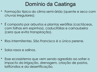 Domínio da Caatinga
• Formação típica do clima semi-árido (quente e seco com
chuvas irregulares);
• É composta por arbustos e plantas xerófilas (cactáceas,
com folhas em espinhos), caducifólias e carnaubeira
(cera que evita transpiração).
• Rios intermitentes. São Francisco é o único perene.
• Solos rasos e salinos.
• Esse ecossistema que vem sendo agredido ao sofrer o
impacto da irrigação, drenagem, criação de pastos,
latifúndios e da desertificação.
 