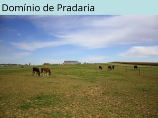 Domínio de Pradaria
 