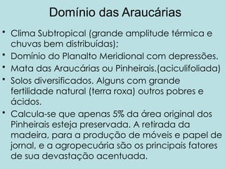 Domínio das Araucárias
• Clima Subtropical (grande amplitude térmica e
chuvas bem distribuídas);
• Domínio do Planalto Meridional com depressões.
• Mata das Araucárias ou Pinheirais.(aciculifoliada)
• Solos diversificados. Alguns com grande
fertilidade natural (terra roxa) outros pobres e
ácidos.
• Calcula-se que apenas 5% da área original dos
Pinheirais esteja preservada. A retirada da
madeira, para a produção de móveis e papel de
jornal, e a agropecuária são os principais fatores
de sua devastação acentuada.
 