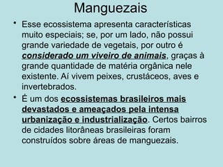 Manguezais
• Esse ecossistema apresenta características
muito especiais; se, por um lado, não possui
grande variedade de vegetais, por outro é
considerado um viveiro de animais, graças à
grande quantidade de matéria orgânica nele
existente. Aí vivem peixes, crustáceos, aves e
invertebrados.
• É um dos ecossistemas brasileiros mais
devastados e ameaçados pela intensa
urbanização e industrialização. Certos bairros
de cidades litorâneas brasileiras foram
construídos sobre áreas de manguezais.
 