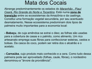 Mata dos Cocais
Abrange predominantemente os estados do Maranhão , Piauí
Ceará, Rio Grande do Norte e Tocantins. Está numa zona de
transição entre os ecossistemas da Amazônia e da caatinga.
Constitui uma formação vegetal secundária, por seu acentuado
desmatamento, Nesse ecossistema predominam dois tipos de
palmeira muito importantes para a economia local:
- Babaçu, de cuja amêndoa se extrai o óleo; as folhas são usadas
para a cobertura de casas e o palmito, como alimento, Um rico
artesanato emprega suas fibras para confeccionar esteiras, cestos e
bolsas. Da casca do coco, podem ser retira dos o alcatrão e o
acetato.
- Carnaúba, cujo produto mais conhecido e a cera. Como tudo dessa
palmeira pode ser aproveitado (folhas, caule, fibras), o nordestino
denominou-a "árvore da providência".
 