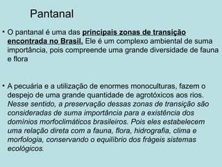 • O pantanal é uma das principais zonas de transição
encontrada no Brasil. Ele é um complexo ambiental de suma
importância, pois compreende uma grande diversidade de fauna
e flora
• A pecuária e a utilização de enormes monoculturas, fazem o
despejo de uma grande quantidade de agrotóxicos aos rios.
Nesse sentido, a preservação dessas zonas de transição são
consideradas de suma importância para a existência dos
domínios morfoclimáticos brasileiros. Pois eles estabelecem
uma relação direta com a fauna, flora, hidrografia, clima e
morfologia, conservando o equilíbrio dos frágeis sistemas
ecológicos.
Pantanal
 