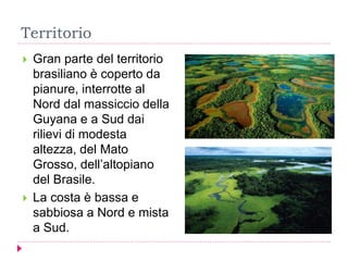 Territorio
 Gran parte del territorio
brasiliano è coperto da
pianure, interrotte al
Nord dal massiccio della
Guyana e a Sud dai
rilievi di modesta
altezza, del Mato
Grosso, dell’altopiano
del Brasile.
 La costa è bassa e
sabbiosa a Nord e mista
a Sud.
 