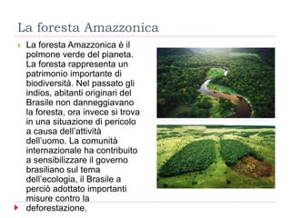 La foresta Amazzonica
 La foresta Amazzonica è il
polmone verde del pianeta.
La foresta rappresenta un
patrimonio importante di
biodiversità. Nel passato gli
indios, abitanti originari del
Brasile non danneggiavano
la foresta, ora invece si trova
in una situazione di pericolo
a causa dell’attività
dell’uomo. La comunità
internazionale ha contribuito
a sensibilizzare il governo
brasiliano sul tema
dell’ecologia, il Brasile a
perciò adottato importanti
misure contro la
deforestazione.
 