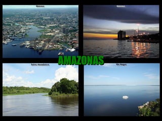 AMAZONAS 