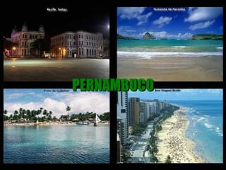 PERNAMBUCO
 