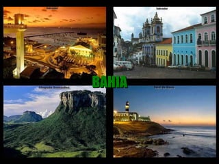 BAHIA
 