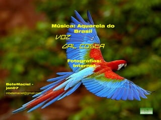 Música: Aquarela do
                              Brasil
                         Voz
                          Gal Costa

                            Fotografias:
                              Internet



BeteMaciel -
jan07
mbetemaciel@gmail.com
 