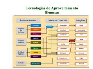 Tecnologias de Aproveitamento
          Biomassa
 