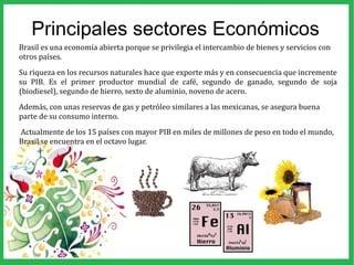Principales sectores Económicos
Brasil es una economía abierta porque se privilegia el intercambio de bienes y servicios con
otros países.
Su riqueza en los recursos naturales hace que exporte más y en consecuencia que incremente
su PIB. Es el primer productor mundial de café, segundo de ganado, segundo de soja
(biodiesel), segundo de hierro, sexto de aluminio, noveno de acero.
Además, con unas reservas de gas y petróleo similares a las mexicanas, se asegura buena
parte de su consumo interno.
Actualmente de los 15 países con mayor PIB en miles de millones de peso en todo el mundo,
Brasil se encuentra en el octavo lugar.
 