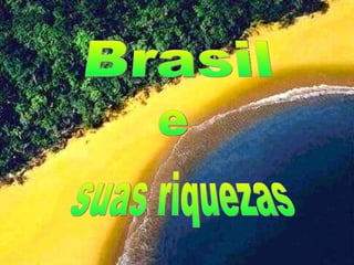Brasil e suas riquezas 