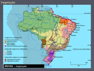 VegetaçãoVegetação
 