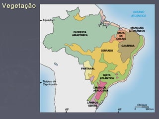 VegetaçãoVegetação
 