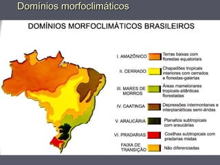 Domínios morfoclimáticosDomínios morfoclimáticos
 