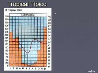 Tropical TípicoTropical Típico
voltar
•
 
